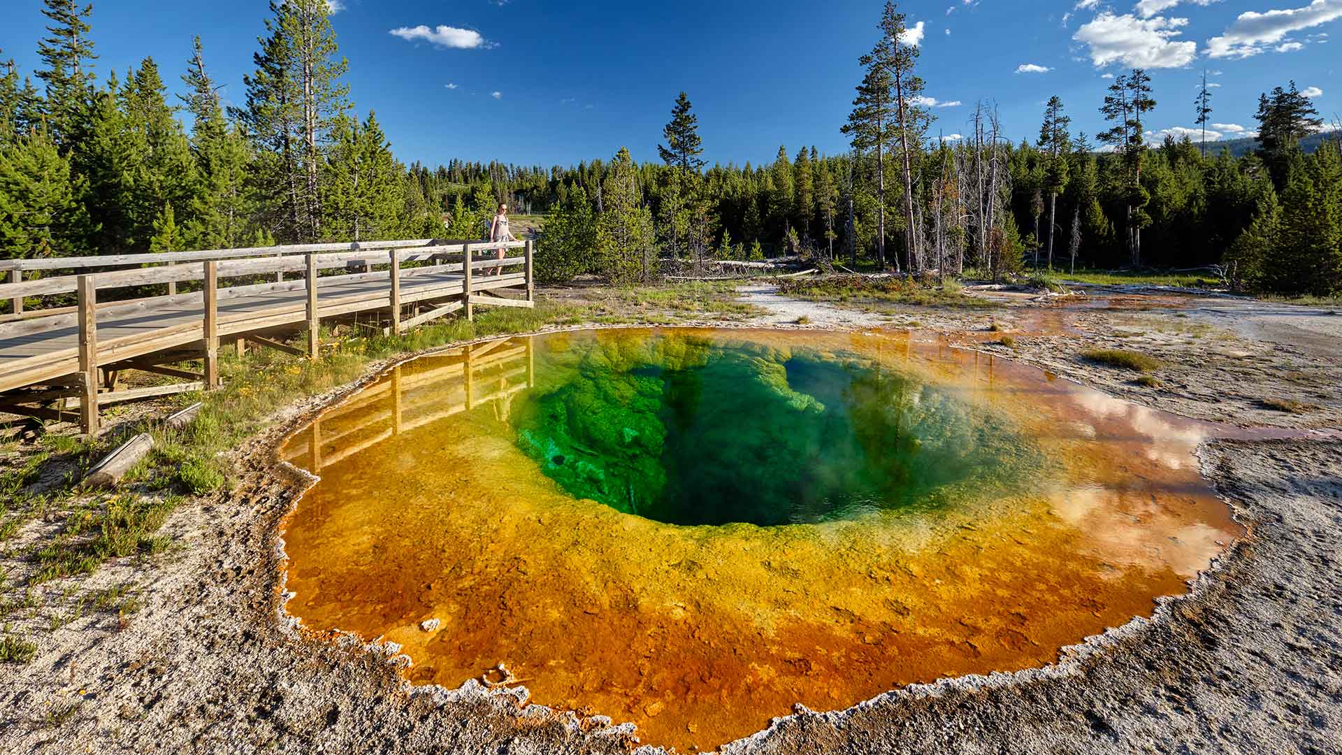 Hot Thermal Feature in Island Park Chamber