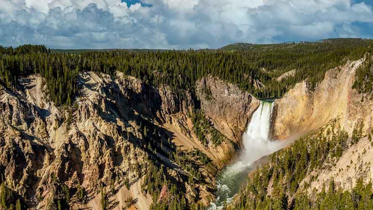 Grand Canyon of Yellowstone and Yellowstone Falls