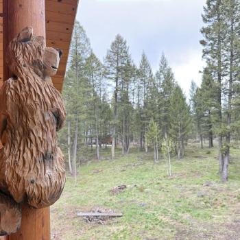 The bears keeping watch over the area.