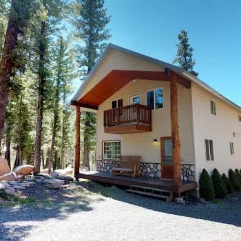 The forest is so peaceful.