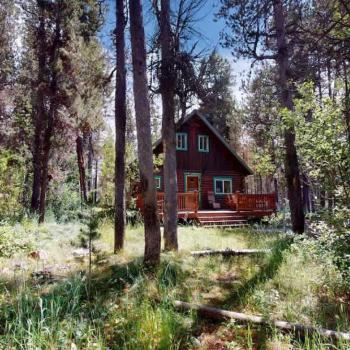 Beautiful scenery of the surrounding area of the cabin.