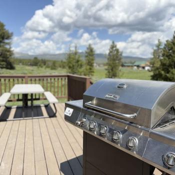 Propane grill and picnic table for outside dining.