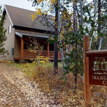 Welcome to Mangy Moose.