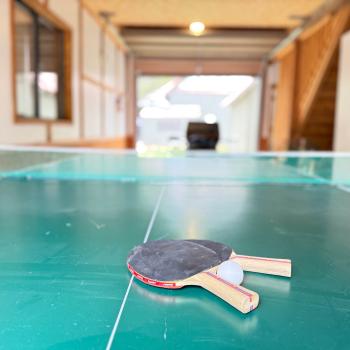 Ping Pong Table in the garage.