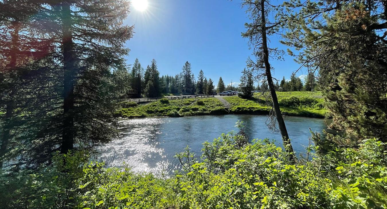 Island Park Rivers in August