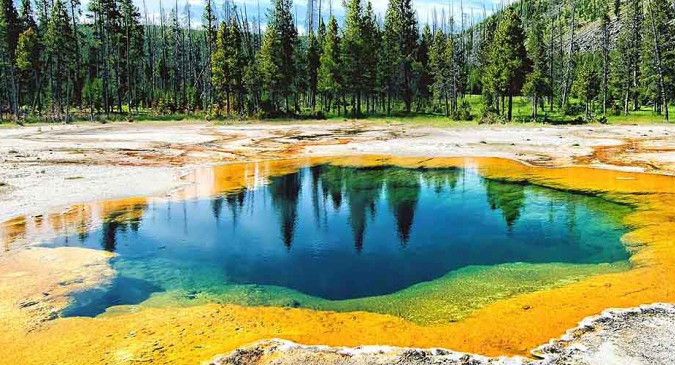 Yellowstone Spring Opening Schedule: What's Open and When