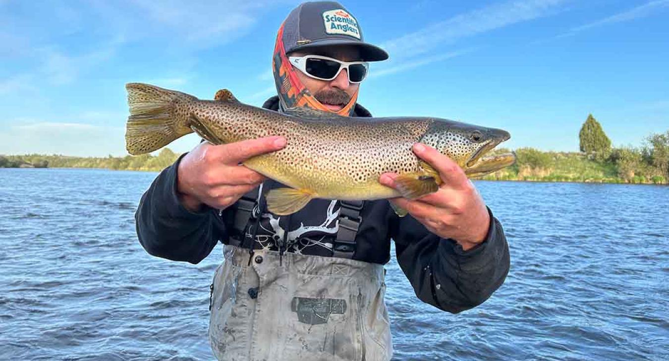 Fly fishing on the lower Henrys Fork