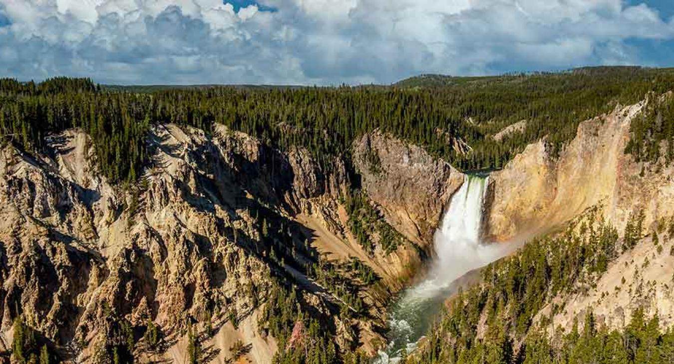 Grand Canyon of Yellowstone and Yellowstone Falls