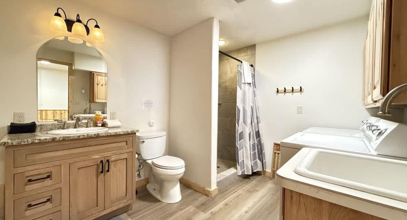 Lower level bathroom with shower, toilet, and sink vanity. Also includes full size washer and dryer for your use, laundry soap is provided.