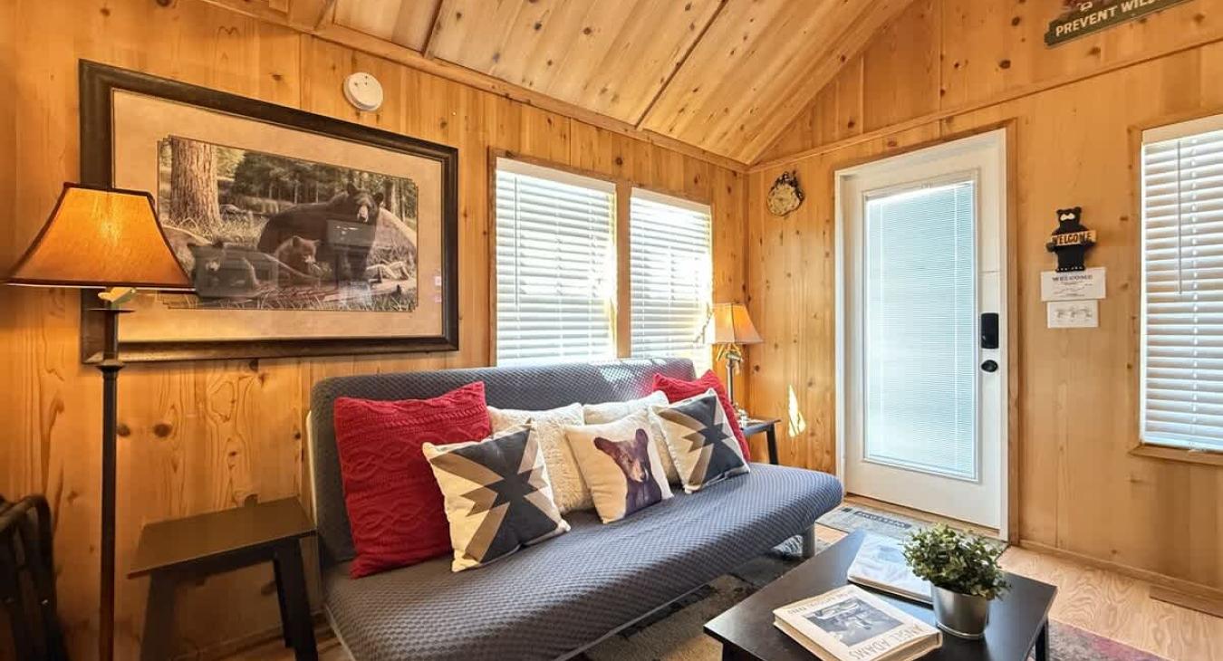 Queen size futon in the living room.