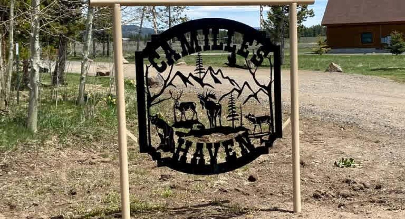 Welcome to Camille's Haven.