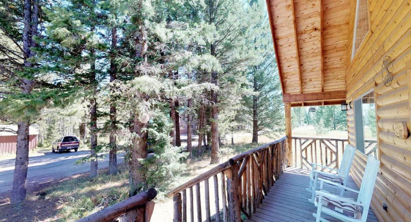 Towering pine trees surround the cabin.