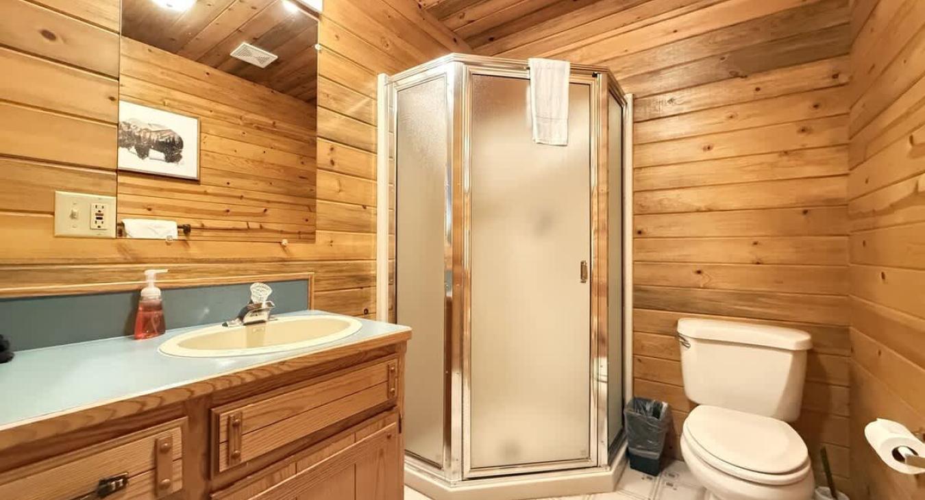 Full bathroom with standing shower, toilet, and sink.