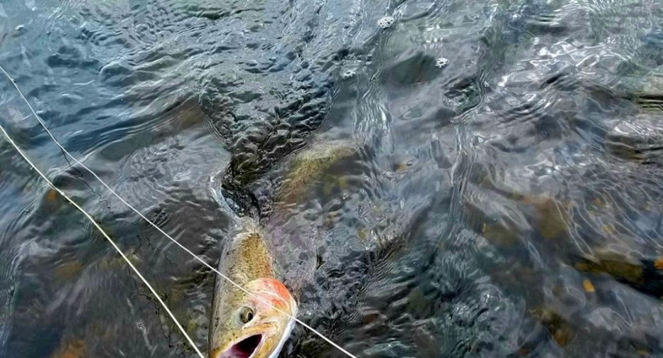 Activities to enjoy nearby.