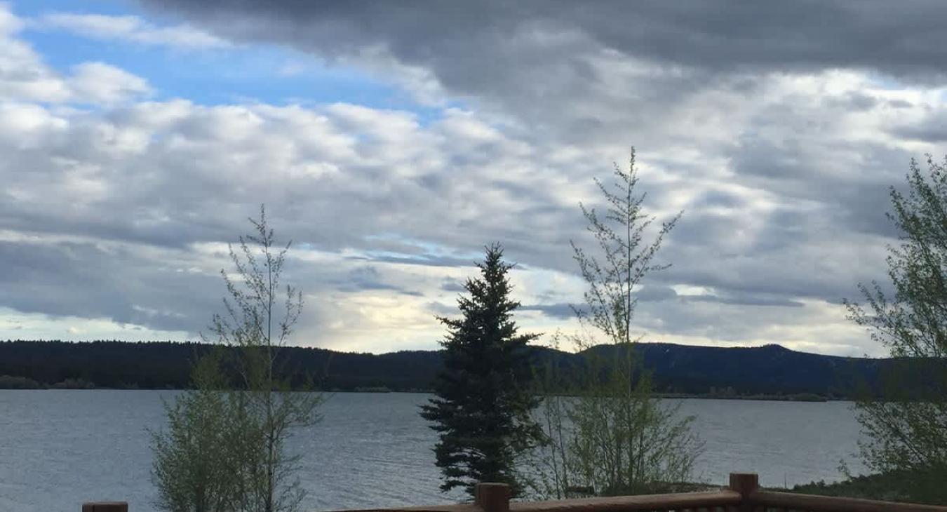 Beautiful views of the water from the cabin.