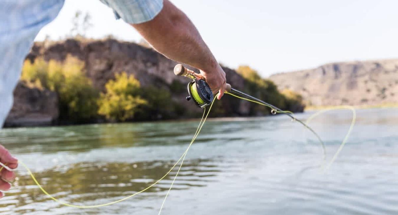 Fly fish Henry's Fork of the Snake River