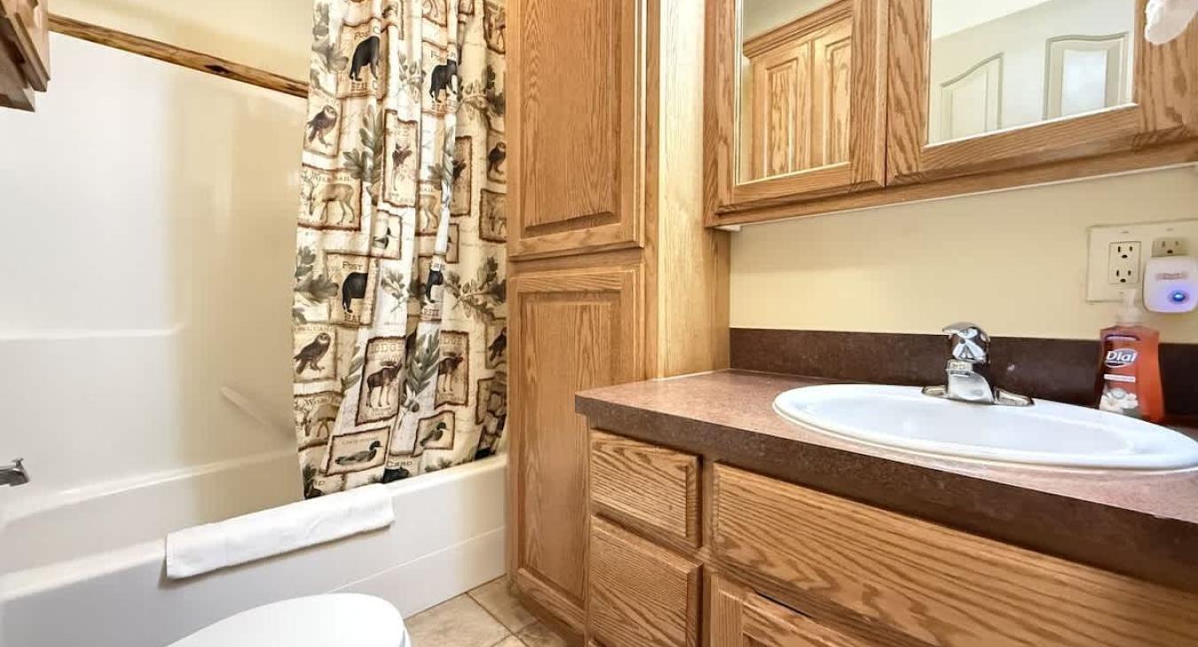 Common bathroom located in the hallway. Includes shower tub combo, toilet, and sink vanity.