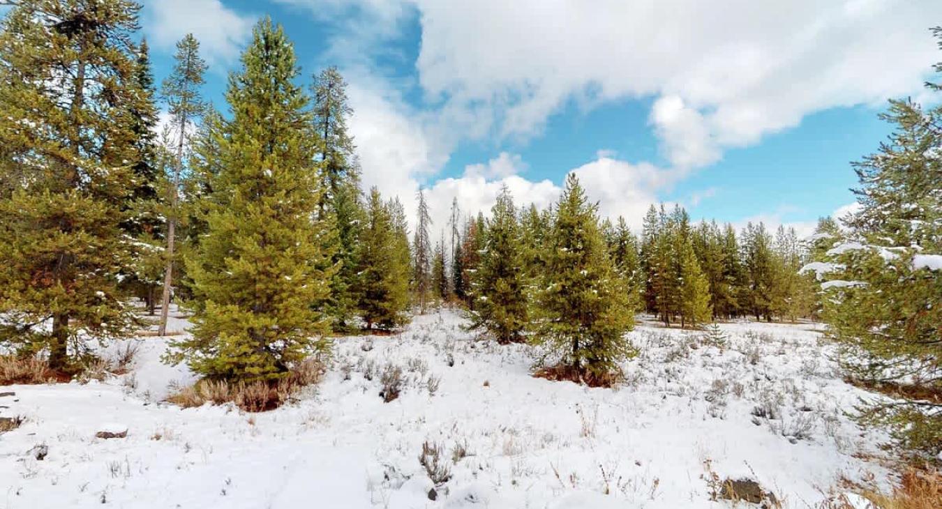 Enjoy the beautiful landscape of the cabin year round.