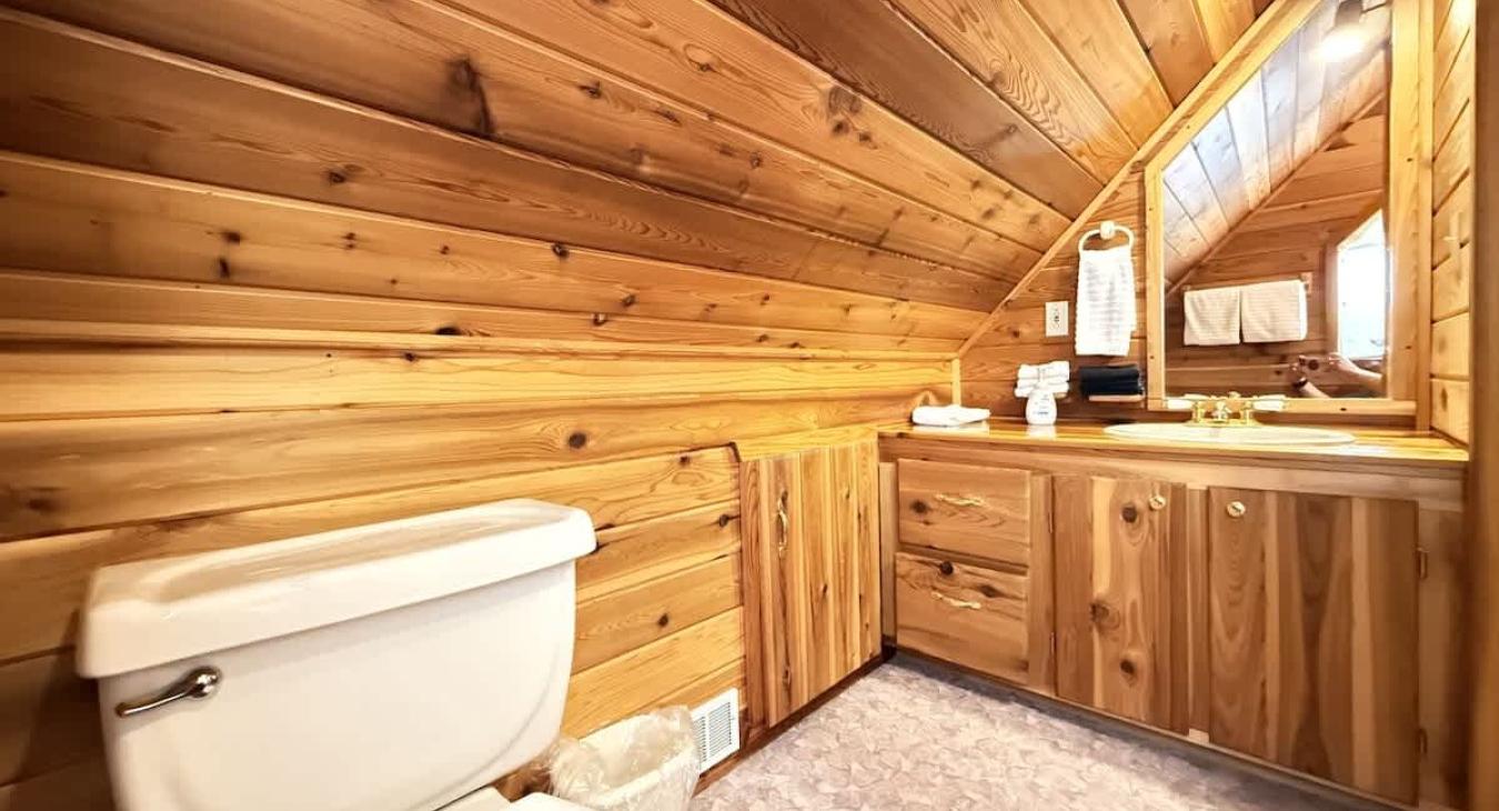 Bathroom with shower, sink vanity, and toilet.