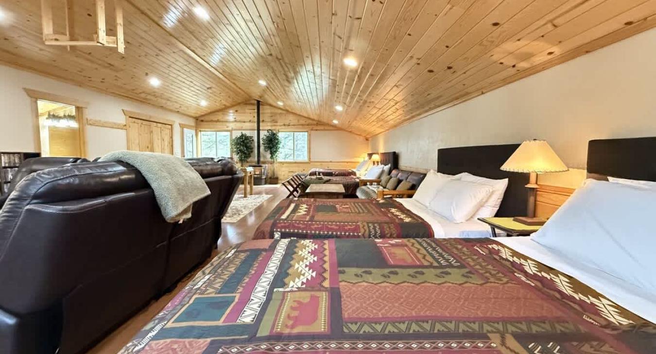 long view of all beds