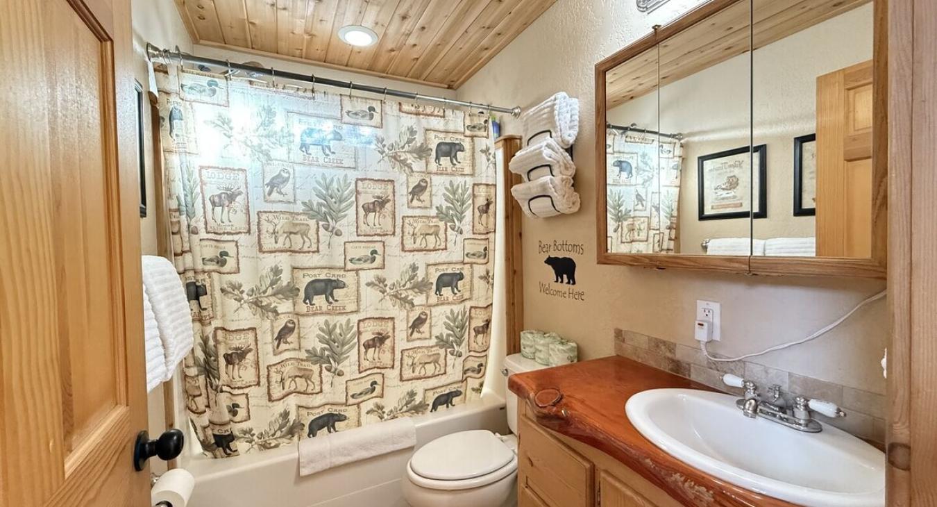 The shower is equipped with a shampoo, conditioner, and body wash for you to use.
