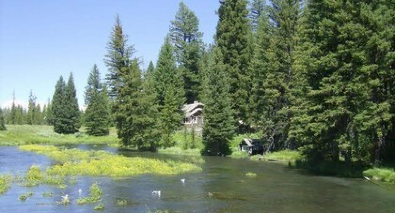 Johnny Sacks Cabin.
