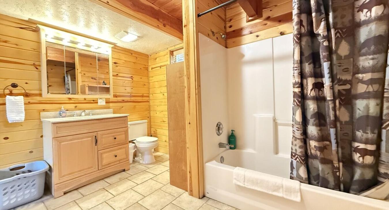 Full bathroom downstairs with sink, toilet, and shower tub combo.