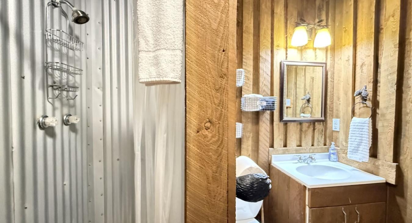 Standing shower in the bathroom.