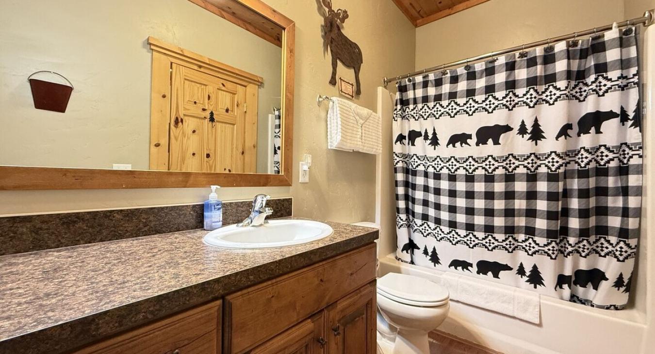 Downstairs full bathroom with shower tub combo, toilet, and double sink vanity.