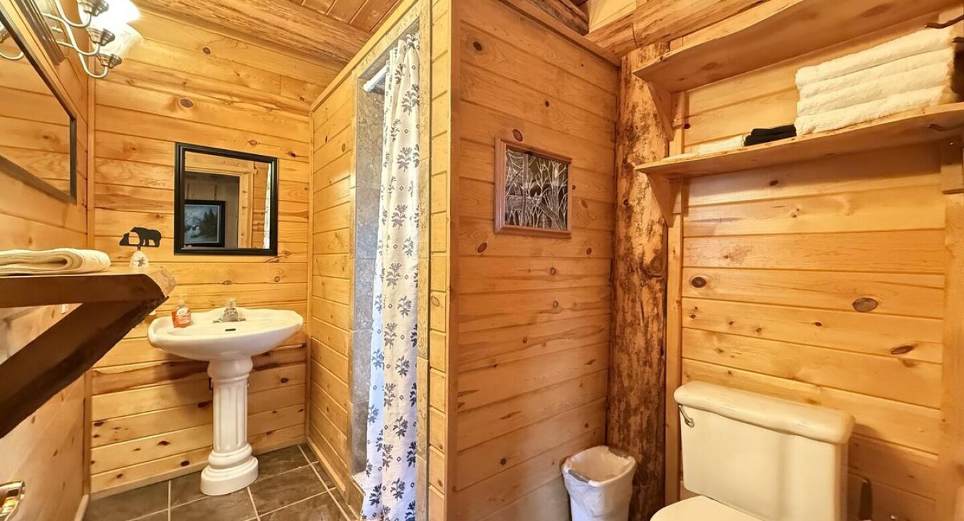 Master bathroom with walk-in shower, toilet, and sink.