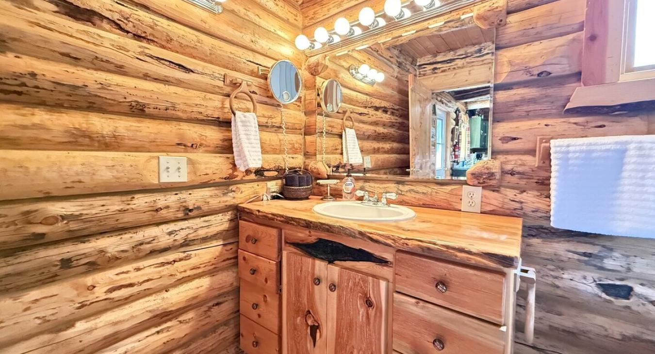 Main level bathroom with standing shower, tub, toilet, and sink.