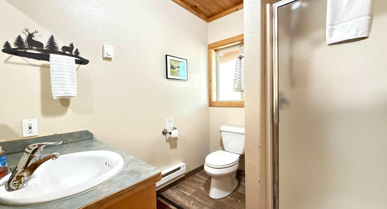 Bathroom #2 on the main level with standing shower, toilet, and sink vanity.