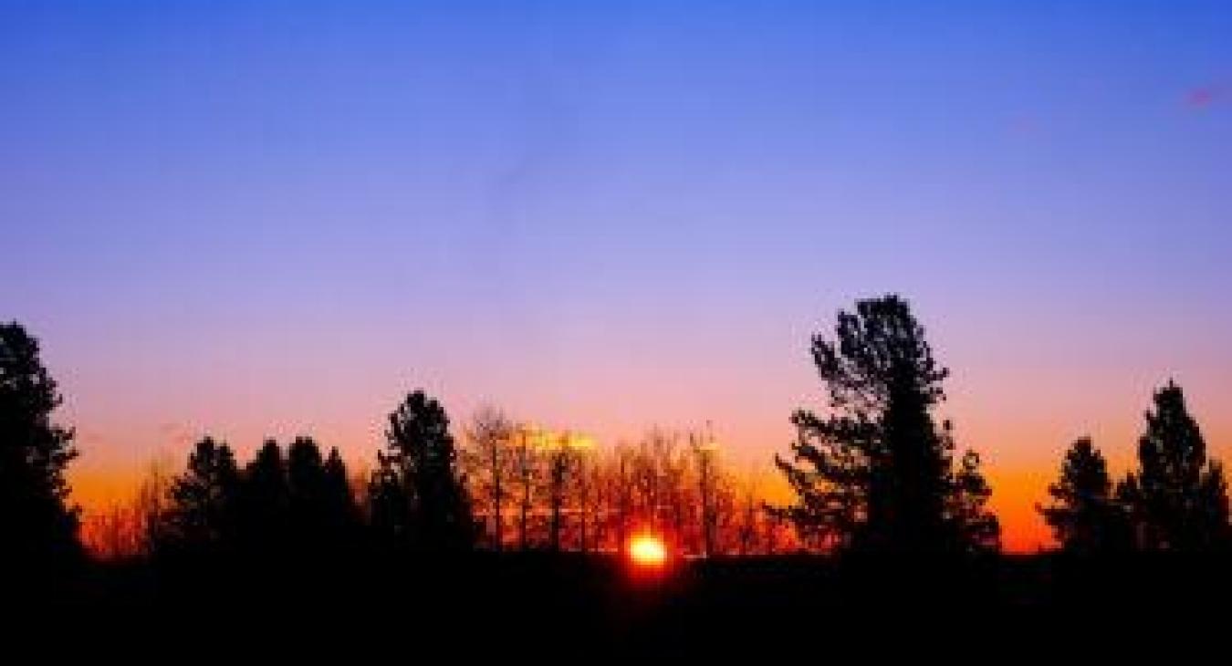 Island Park Sunset