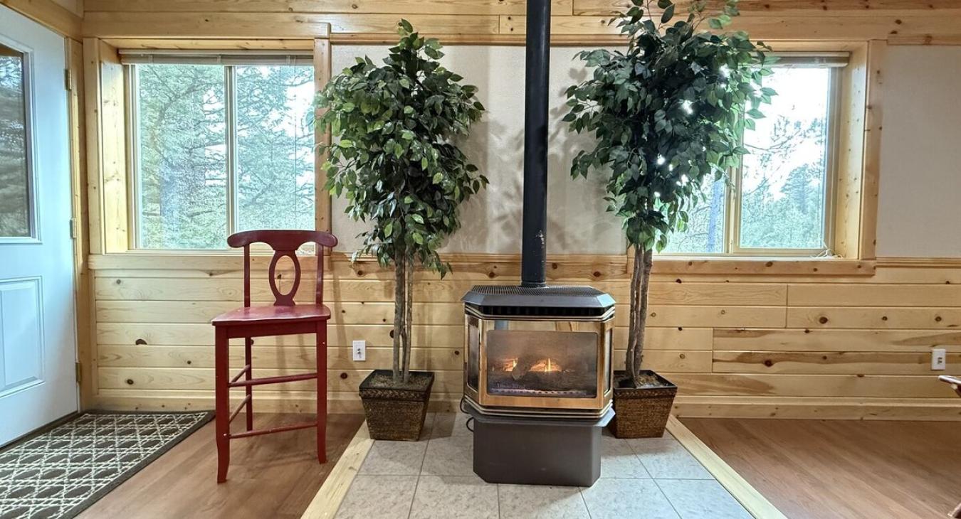 Gas fireplace