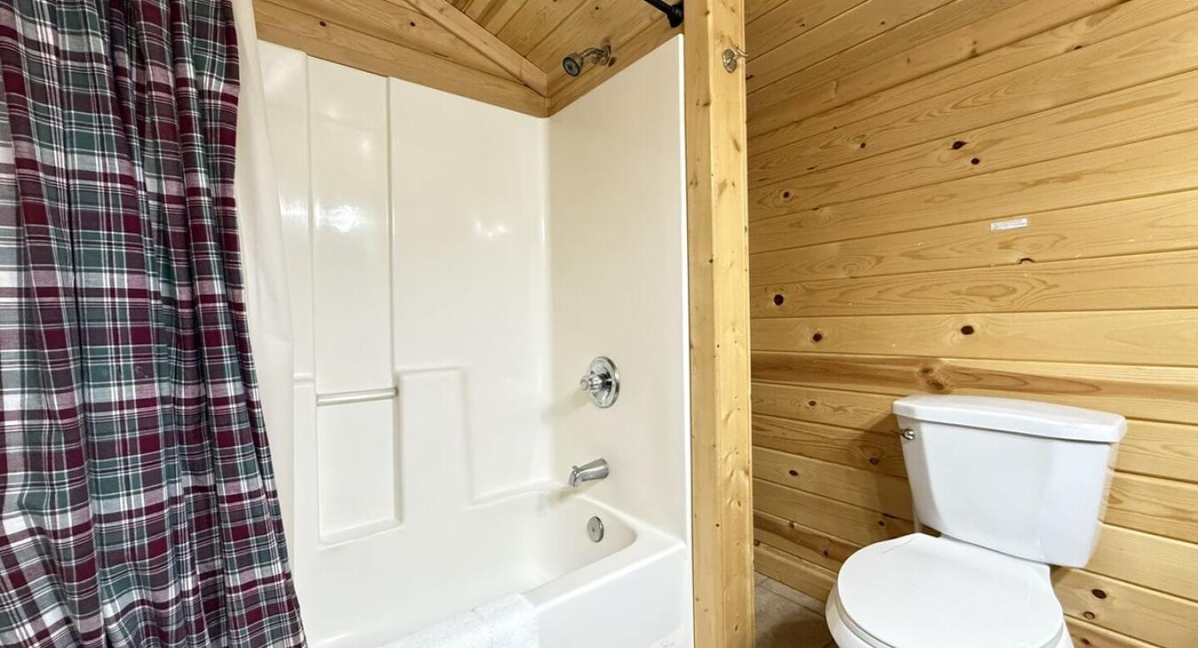 tub and shower combo