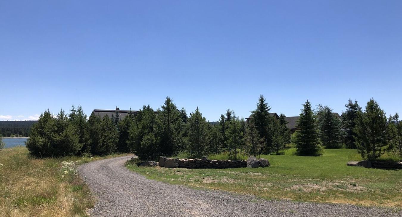 Lots of towering pine trees surround the cabin.