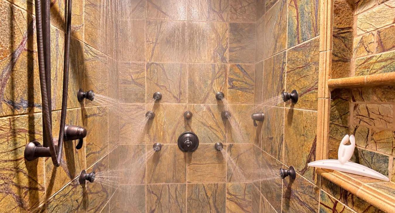 Deluxe master ensuite shower.