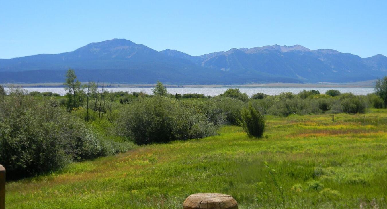 This cabin definitely has a peaceful view.