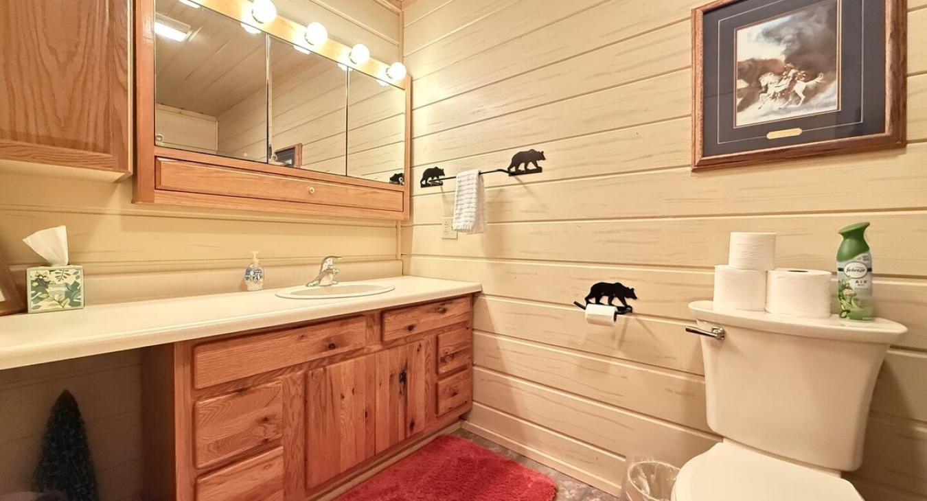 Common bathroom in the hallway. Spacious countertop and full tub and shower.