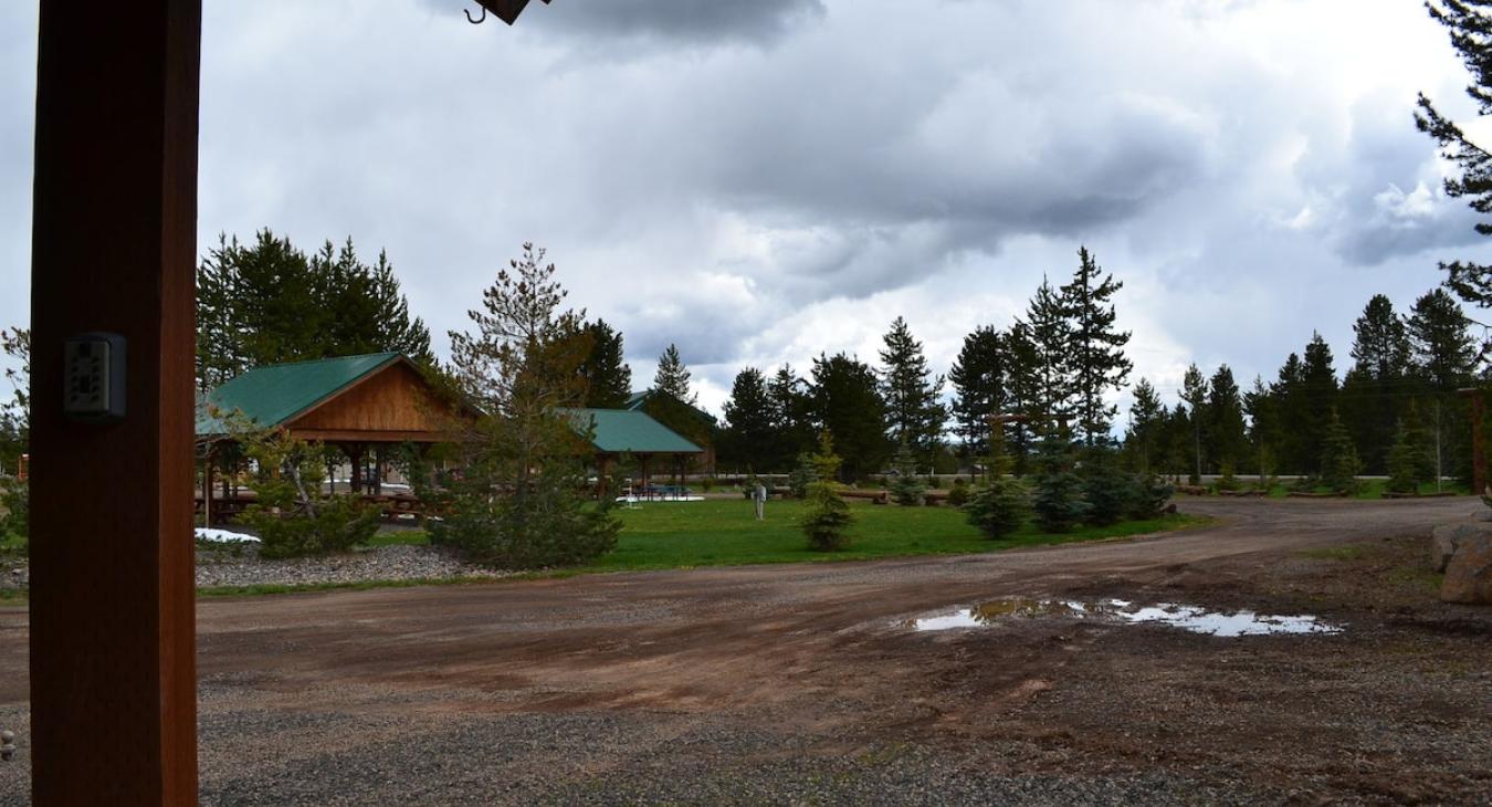 Yellowstone Lux is green and gorgeous.