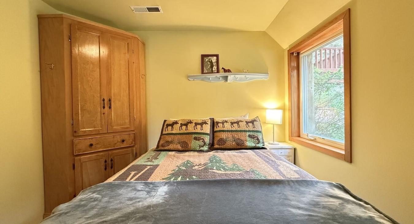 Bedroom located in the basement with a queen size bed and closet.