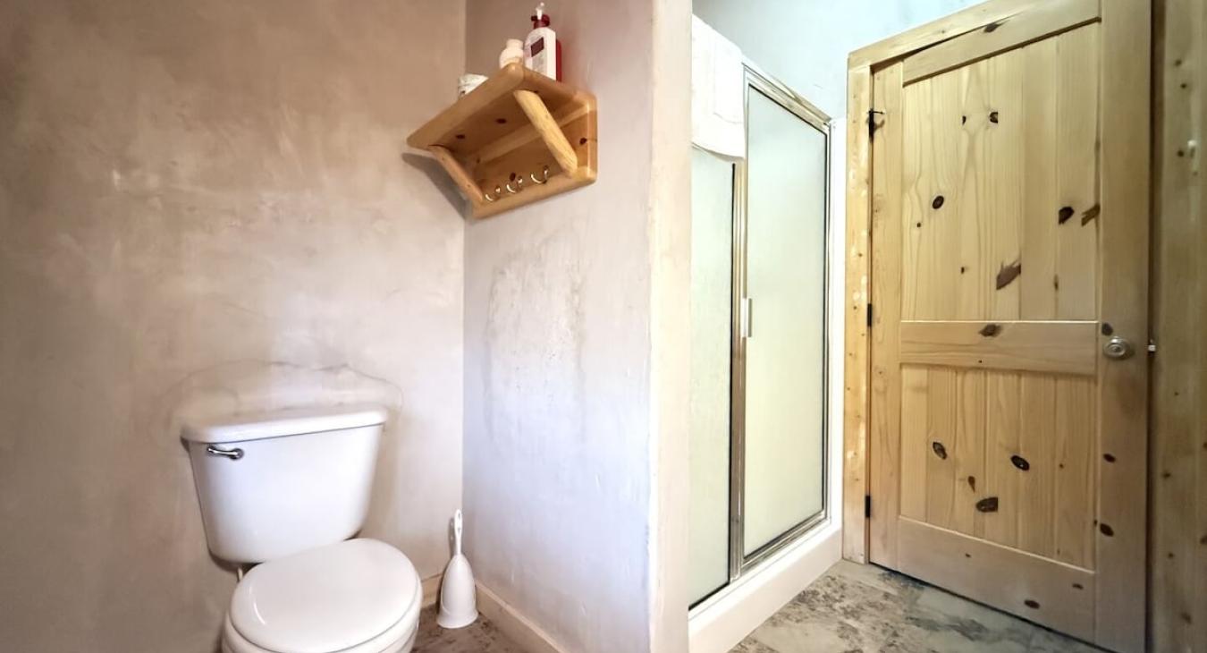Upstairs level bathroom with toilet, sink vanity, and standing shower.