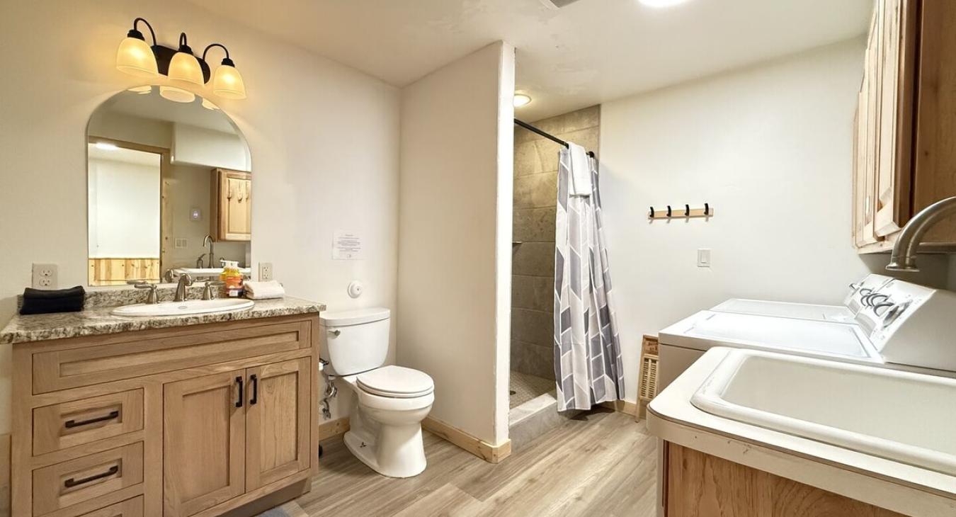 Lower level bathroom with shower, toilet, and sink vanity. Also includes full size washer and dryer for your use, laundry soap is provided.