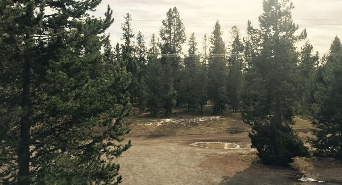 Beautiful view from upstairs balcony.