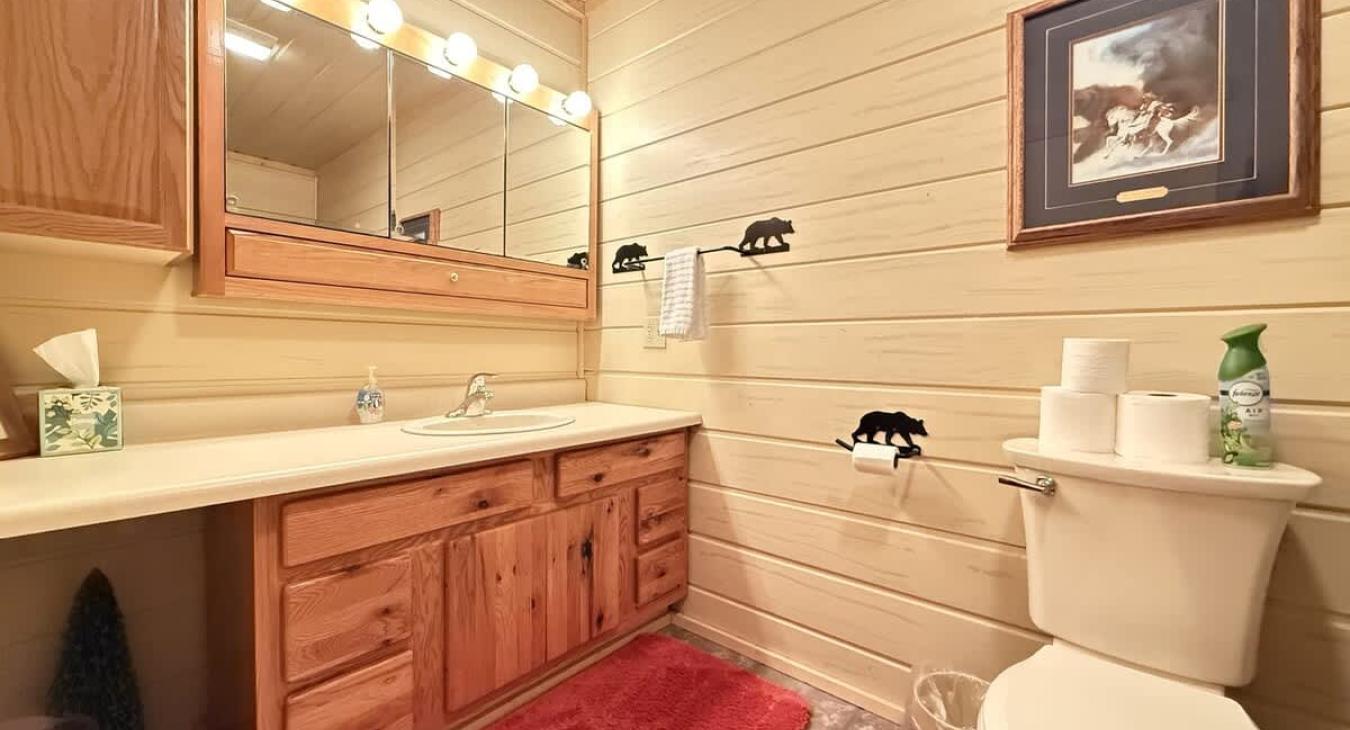 Common bathroom in the hallway. Spacious countertop and full tub and shower.