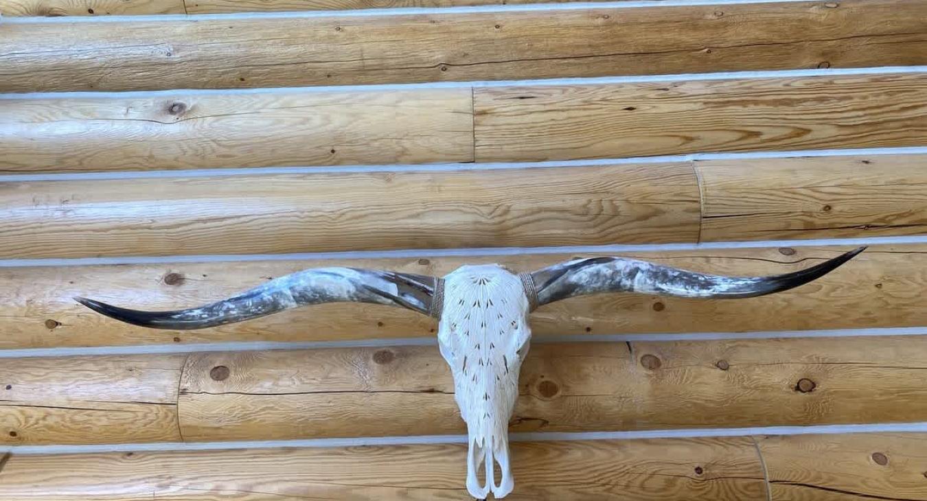 The feature of a longhorn is a striking and bold to the space, especially in a cabin where rustic charm reigns. Its presence brings a touch of the outdoors inside, creating a connection between the cabin’s interior and the untamed nature beyond.