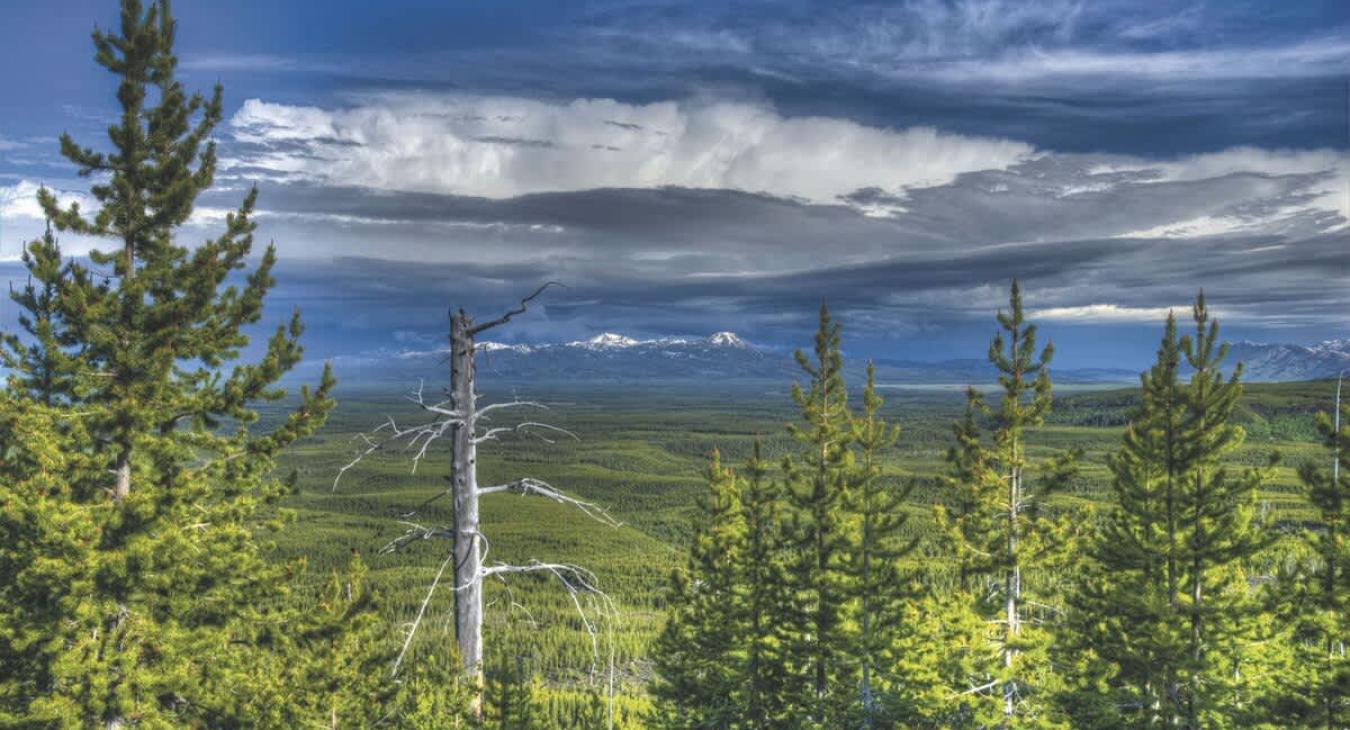 The beautiful outdoors.