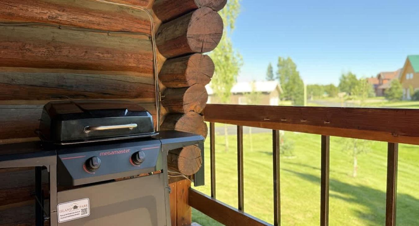 Propane BBQ grill with propane provided