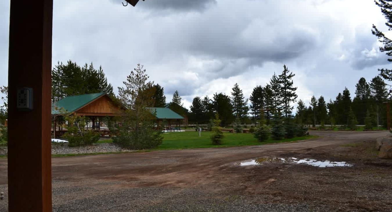 Yellowstone Lux is green and gorgeous.