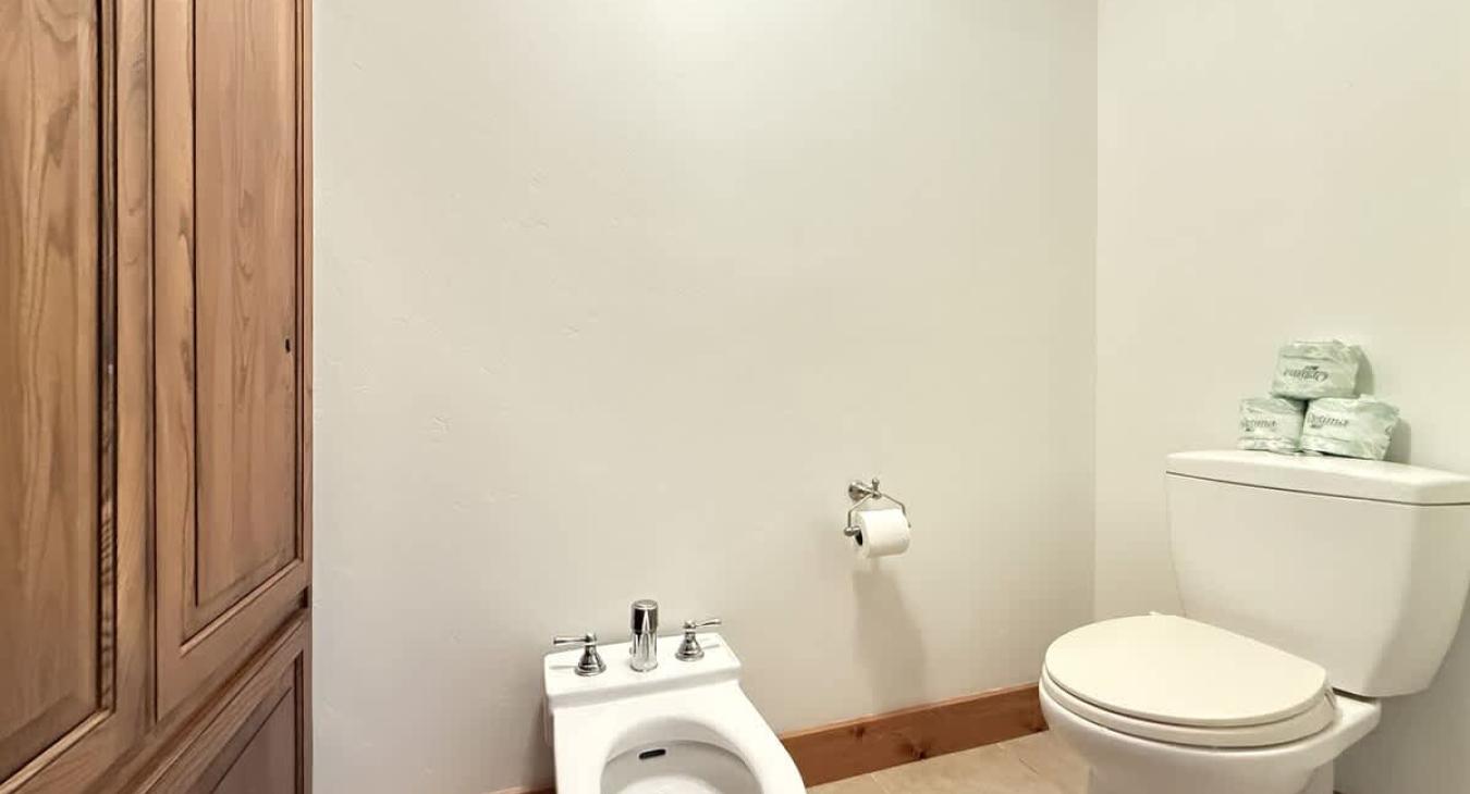 Master ensuite toilet and bidet closet.